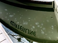 Kwalletjes
