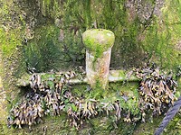 Zandkreeksluis