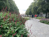 Zierikzee