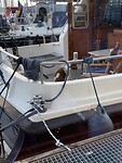 Leuke hond naast de “Havenmeester”