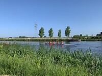Roeiwedstrijd