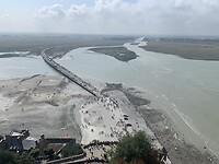 De brug en de mieren