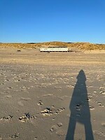 “Me and my shadow”