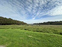 Schapenwolkjes