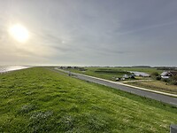 Hoog in de wind