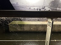 Spinnenwebben