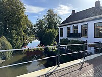 De Gouden Karper