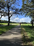 Langs de Vilsterseweg