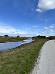 Boschplaat