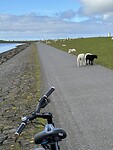 Beelden aan zee