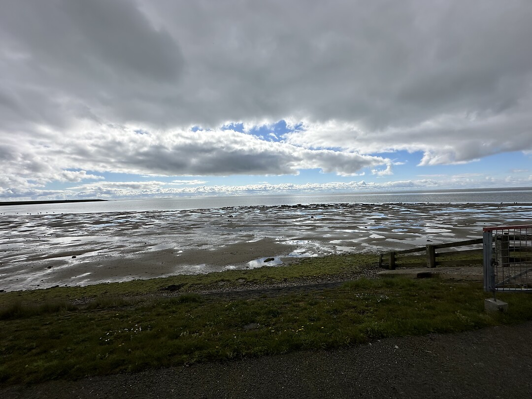Het wad