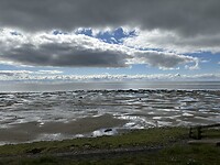 Het wad