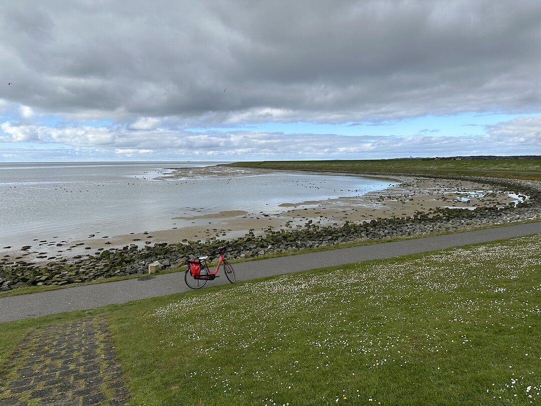 Het wad