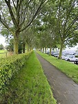 Veere