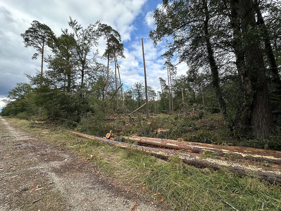 Na de storm
