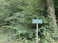 “Bois de Boulogne”