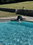 Nathan onder de douche