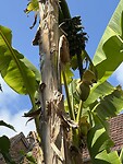 IMG_4566