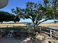 IMG_4640