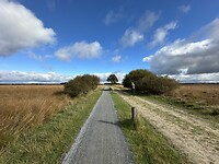 Dwars door NP Dwingelderveld