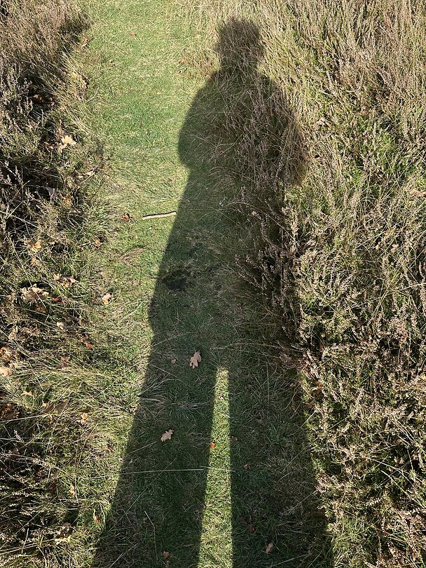 Me and my shadow