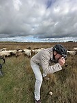 Paul fotografeert schaap
