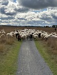 And on they go