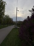 Volksgarten