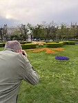 Volksgarten