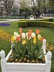 Volksgarten