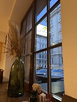 IMG_6978