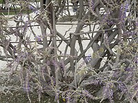 IMG_6957