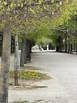 IMG_6953