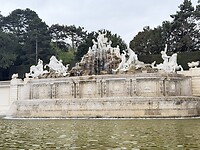 IMG_6952
