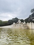 IMG_6945