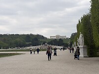 IMG_6942