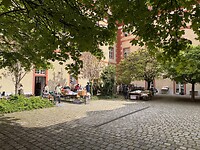 IMG_6998
