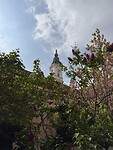 IMG_6997