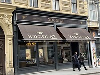 IMG_6982