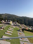 IMG_7885