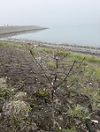 Oosterschelde