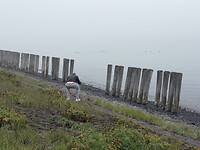 Oosterschelde