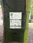 Bomen campagne