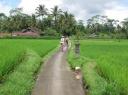 Fietstocht over Bali