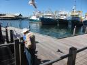Haven in Fremantle