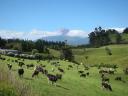Op weg naar Mt Taranaki