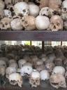 Schedels in monument 'the killing fields'
