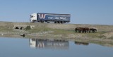 Nederlandse auto in Kazachstan