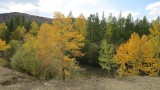 Midden Siberie. Herfst
