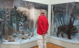 Midden Siberie. Museum in Barnaul.
